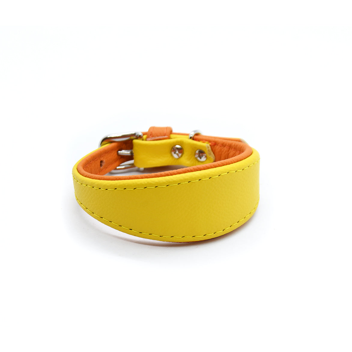 MINI BASIC Windhundhalsband Kleinhunde 𝗸𝗼𝗻𝗳𝗶𝗴𝘂𝗿𝗶𝗲𝗿𝗯𝗮𝗿・Italienisches Windspiel