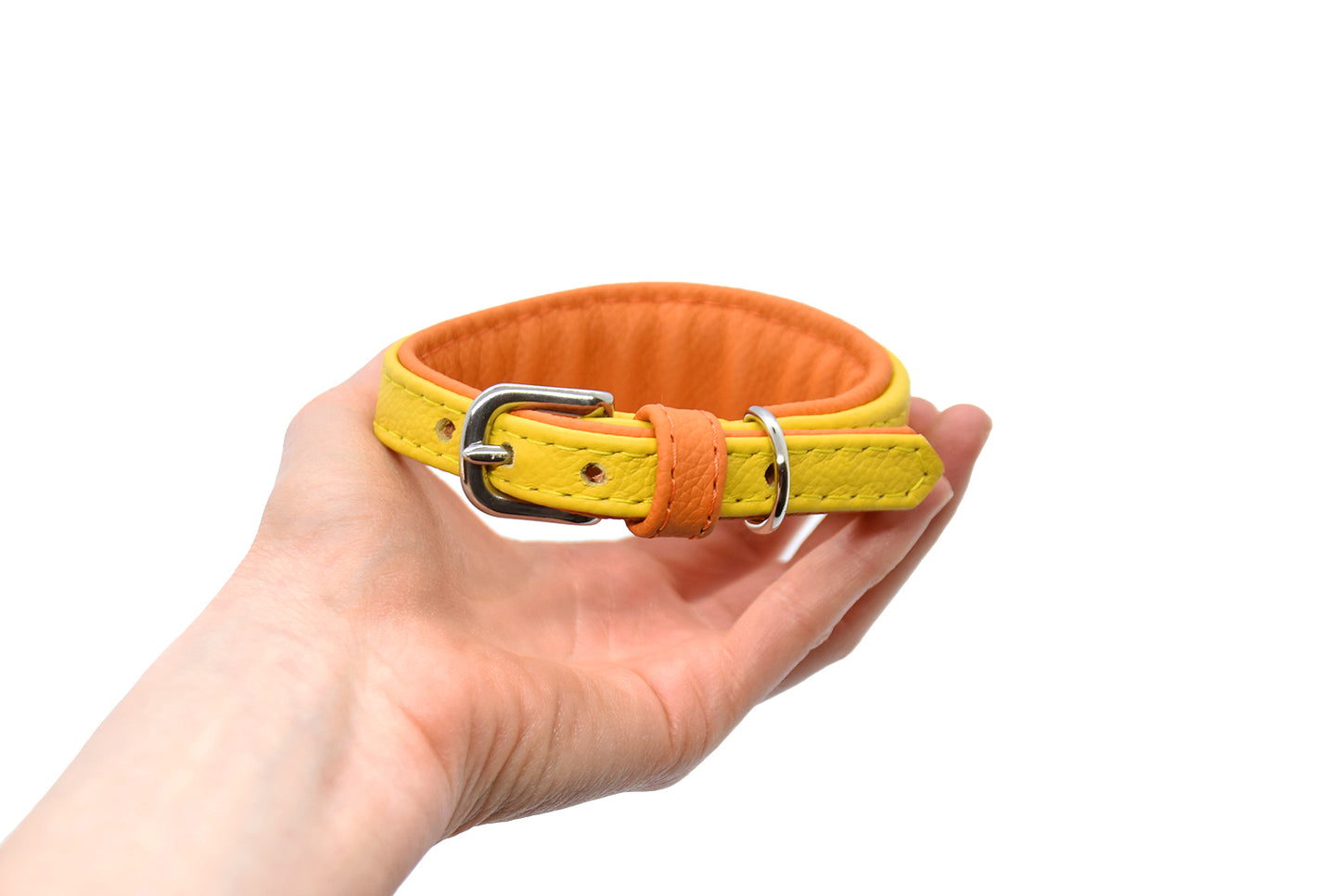 MINI BASIC Windhundhalsband Kleinhunde 𝗸𝗼𝗻𝗳𝗶𝗴𝘂𝗿𝗶𝗲𝗿𝗯𝗮𝗿・Italienisches Windspiel