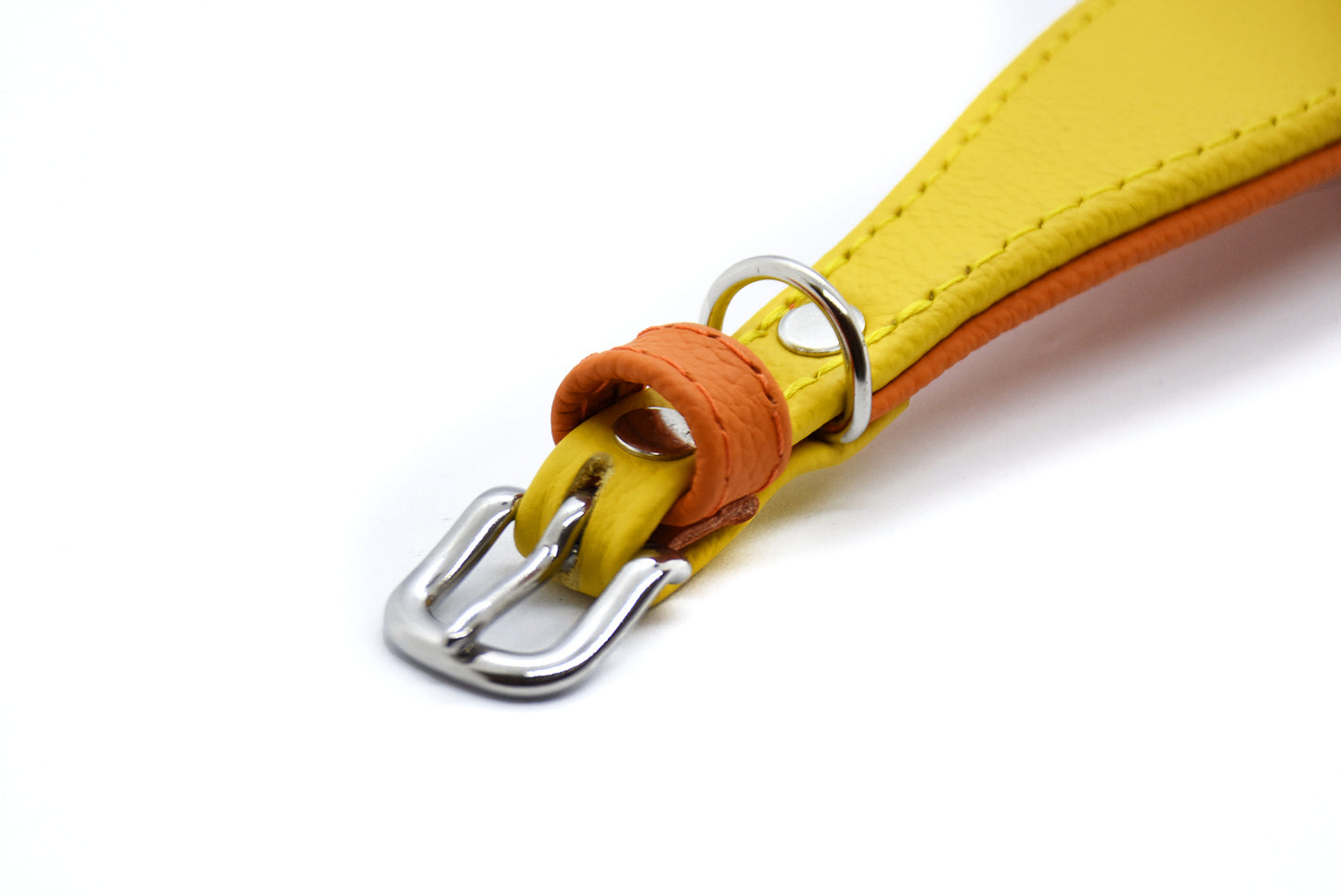 MINI BASIC Windhundhalsband Kleinhunde 𝗸𝗼𝗻𝗳𝗶𝗴𝘂𝗿𝗶𝗲𝗿𝗯𝗮𝗿・Italienisches Windspiel