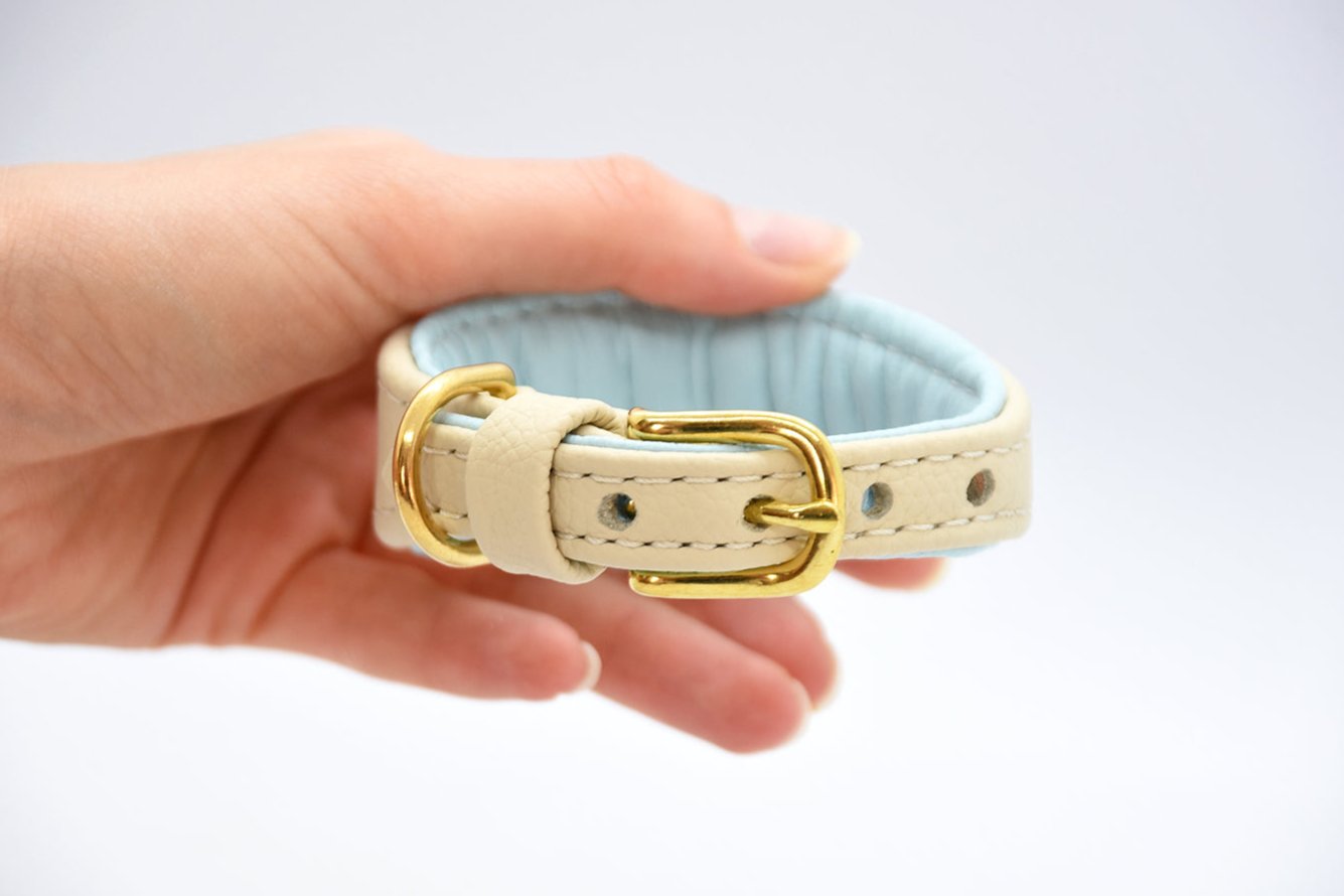 MINI BASIC Windhundhalsband Kleinhunde 𝗸𝗼𝗻𝗳𝗶𝗴𝘂𝗿𝗶𝗲𝗿𝗯𝗮𝗿・Italienisches Windspiel