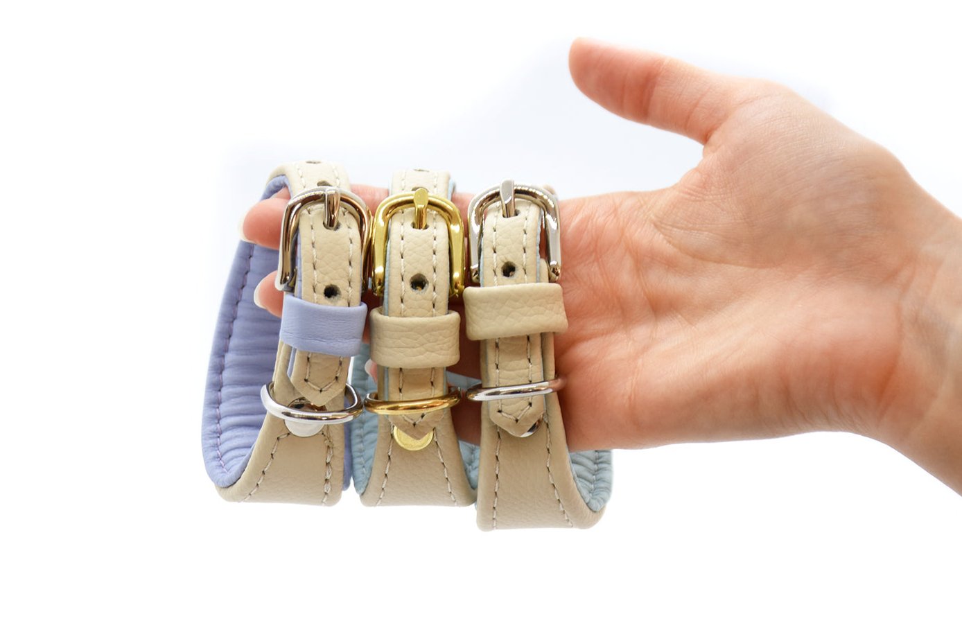 MINI BASIC Windhundhalsband Kleinhunde 𝗸𝗼𝗻𝗳𝗶𝗴𝘂𝗿𝗶𝗲𝗿𝗯𝗮𝗿・Italienisches Windspiel