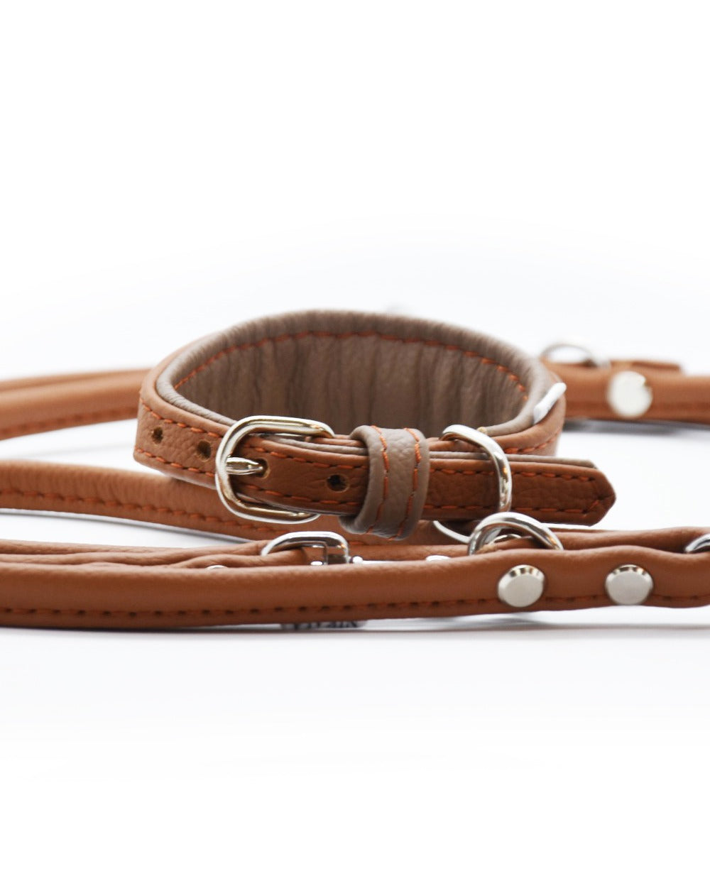 MINI Set 𝗸𝗼𝗻𝗳𝗶𝗴𝘂𝗿𝗶𝗲𝗿𝗯𝗮𝗿・Halsband und Leine