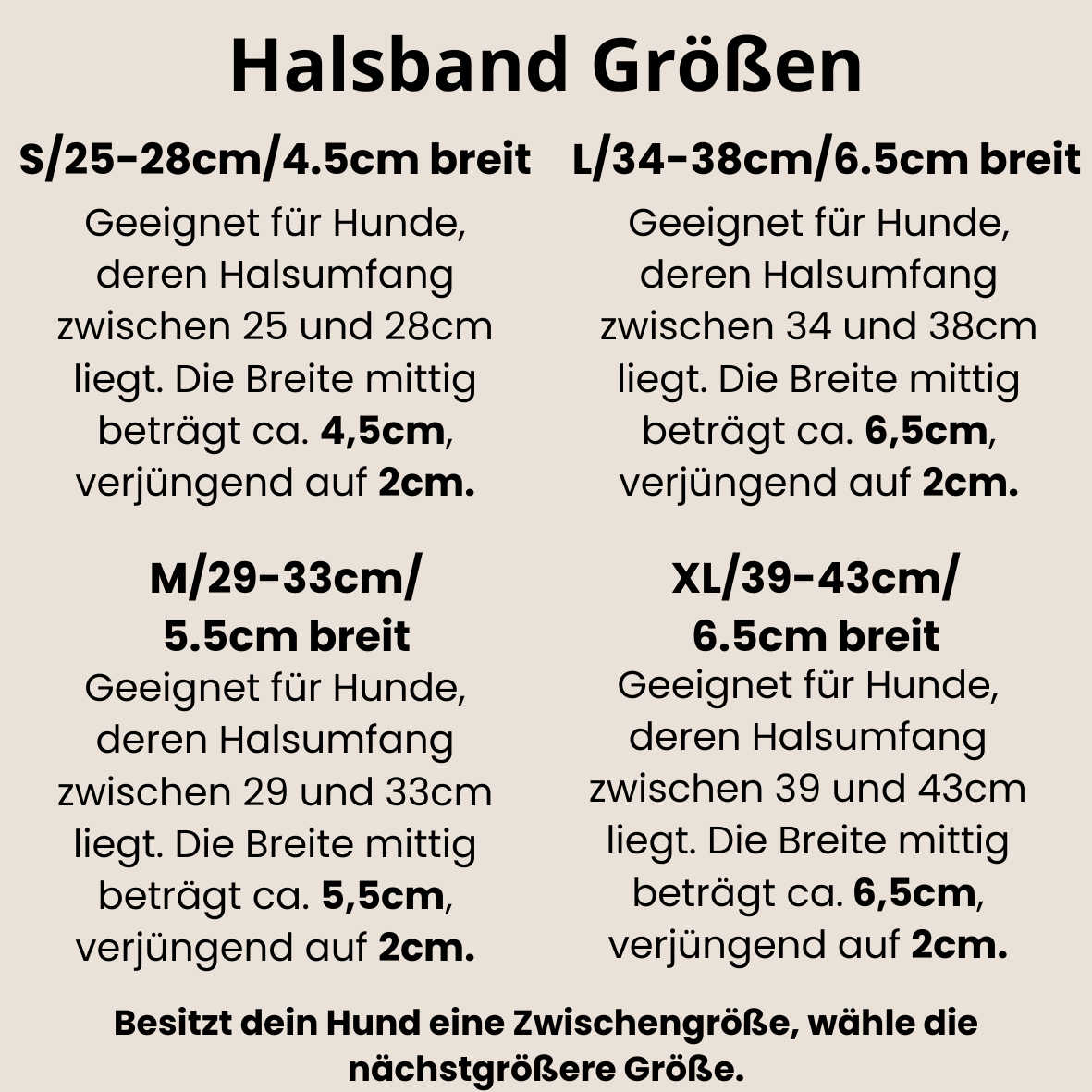 LINEA Windhundhalsband aus Geschirrleder | schlichtes Halsband