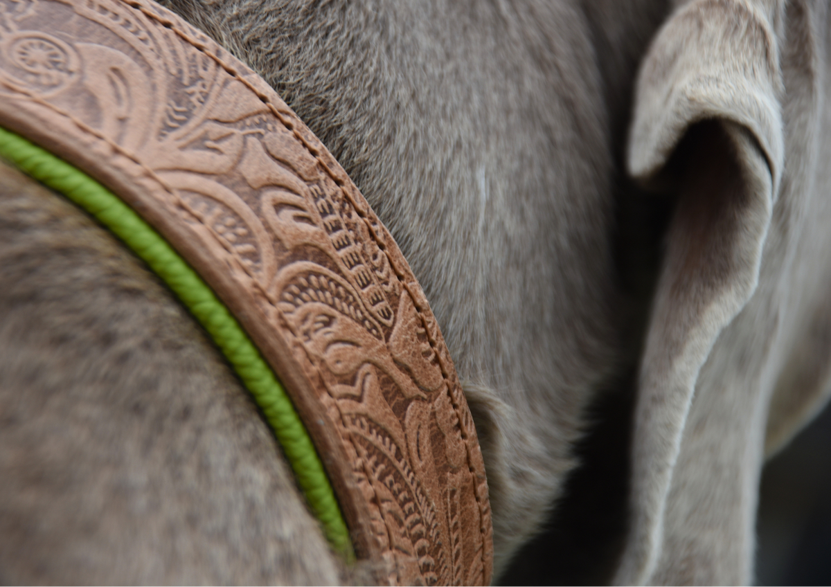 detailreiche florale Lederprägung am Hundehalsband