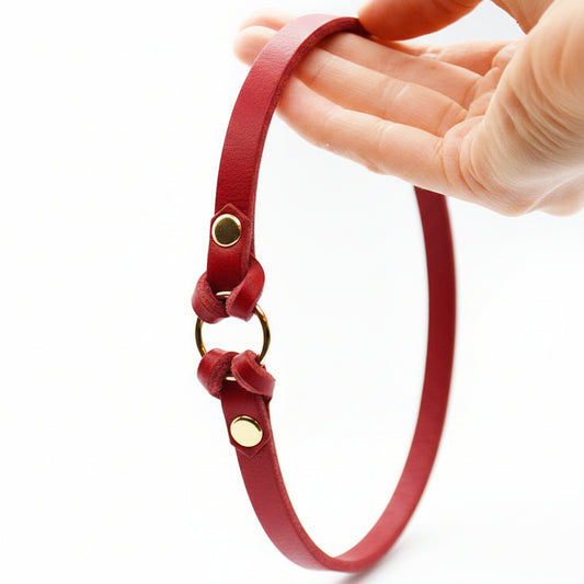 individuell gefertigtes Fettleder-Halsband – perfekt für Freilauf und Hundemarke.