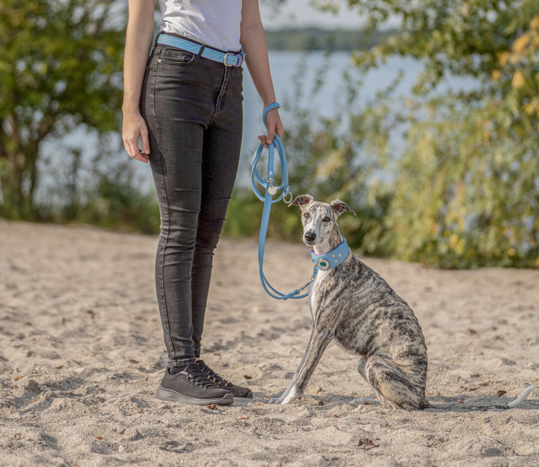 Partnerlook Hund und Halter