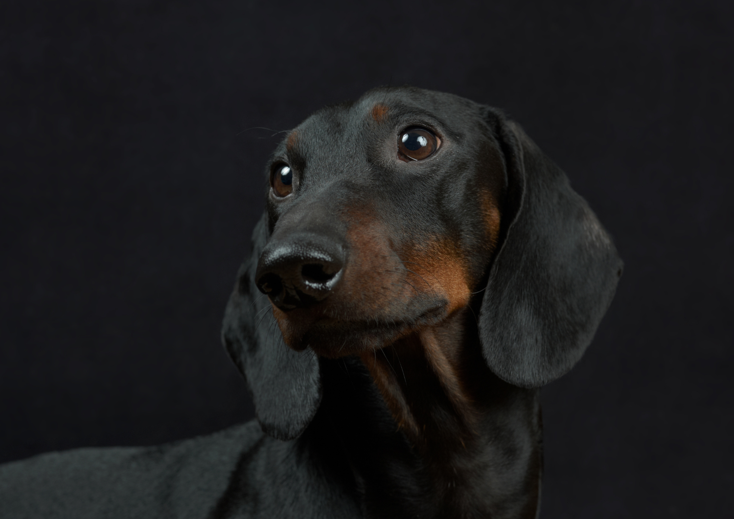 ZUBEHÖR & GUTSCHEINE