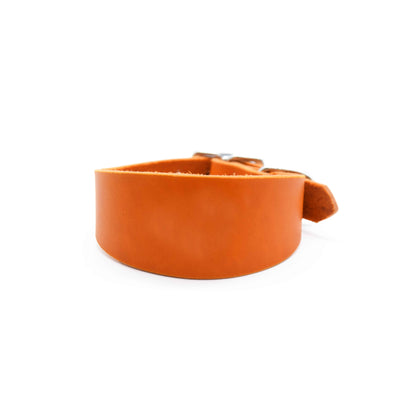 FETTLEDER Windhundhalsband 𝗸𝗼𝗻𝗳𝗶𝗴𝘂𝗿𝗶𝗲𝗿𝗯𝗮𝗿