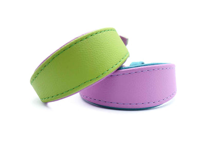 MINI BASIC Windhundhalsband Kleinhunde 𝗸𝗼𝗻𝗳𝗶𝗴𝘂𝗿𝗶𝗲𝗿𝗯𝗮𝗿・Italienisches Windspiel