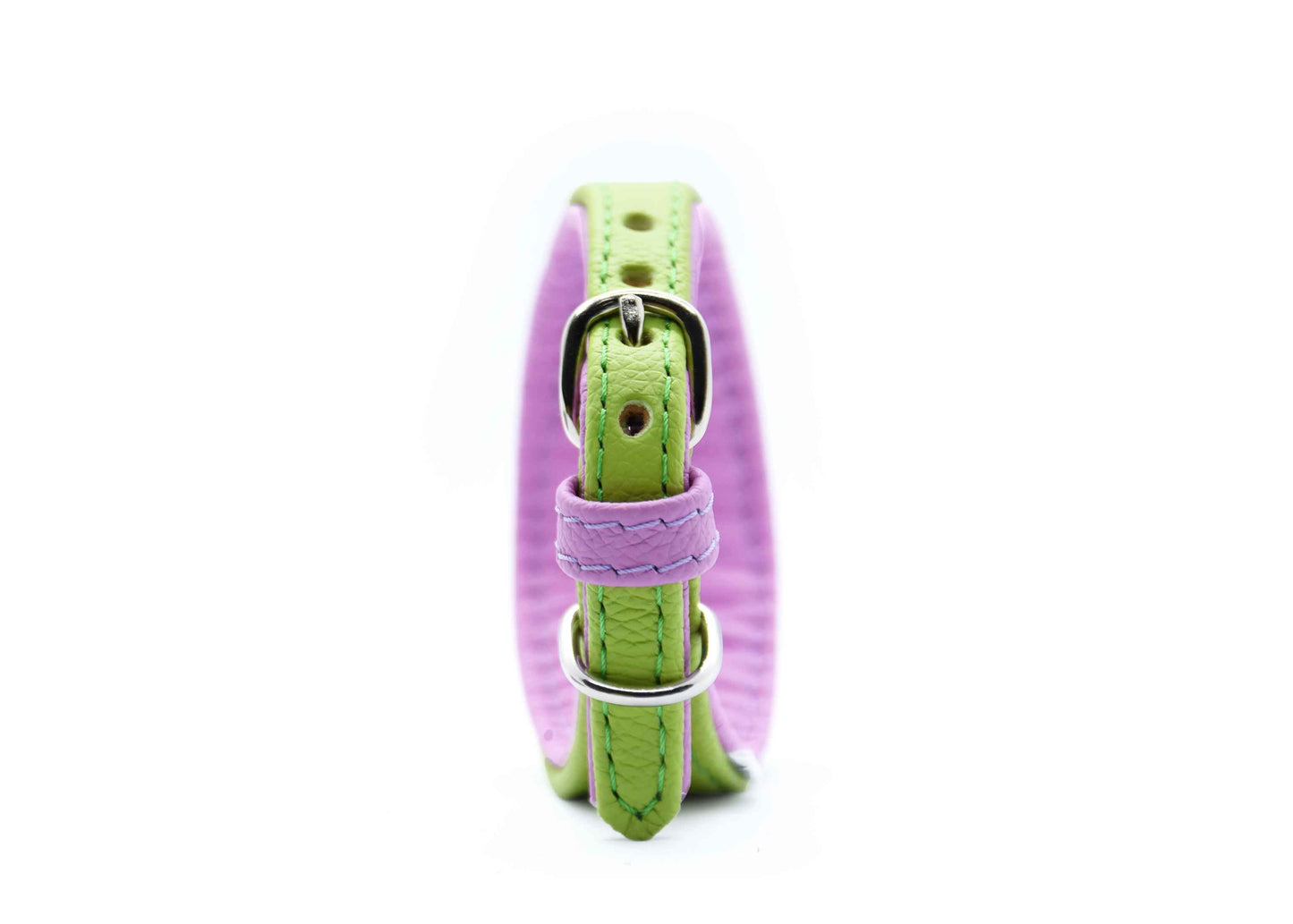 MINI BASIC Windhundhalsband Kleinhunde 𝗸𝗼𝗻𝗳𝗶𝗴𝘂𝗿𝗶𝗲𝗿𝗯𝗮𝗿・Italienisches Windspiel