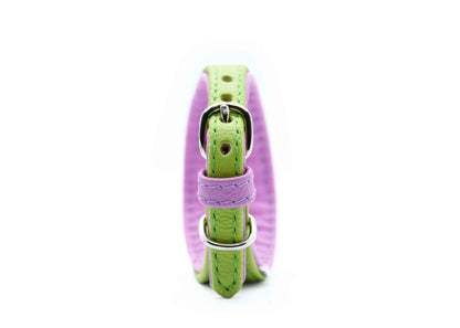 MINI BASIC Windhundhalsband Kleinhunde 𝗸𝗼𝗻𝗳𝗶𝗴𝘂𝗿𝗶𝗲𝗿𝗯𝗮𝗿・Italienisches Windspiel