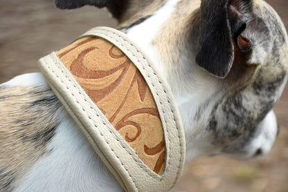 Nahaufnahme Windhundhalsband braun gemustert mit Wildleder an einem Whippet