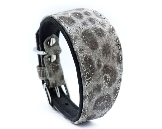 STEINBEIßER Halsband | Einzigartiges Fischleder-Halsband für Windhunde