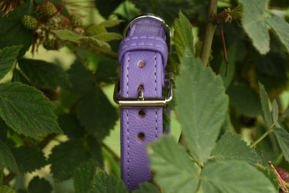 BASIC Hundehalsband 𝗸𝗼𝗻𝗳𝗶𝗴𝘂𝗿𝗶𝗲𝗿𝗯𝗮𝗿・Bio-Nappaleder