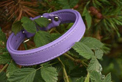 BASIC Hundehalsband 𝗸𝗼𝗻𝗳𝗶𝗴𝘂𝗿𝗶𝗲𝗿𝗯𝗮𝗿・Bio-Nappaleder