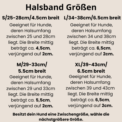 LINEA Windhundhalsband aus Geschirrleder | schlichtes Halsband