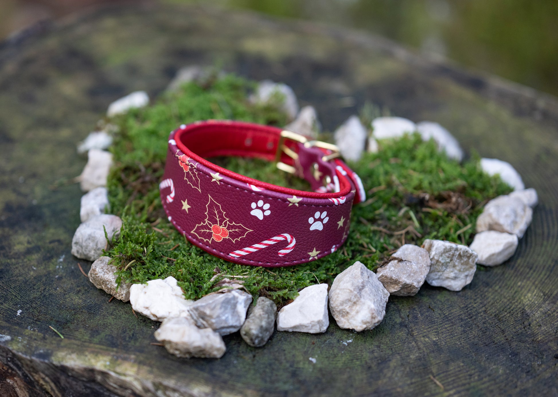 Exklusives Weihnachts-Windhundhalsband 2025, kombiniert mit roter Fettlederleine