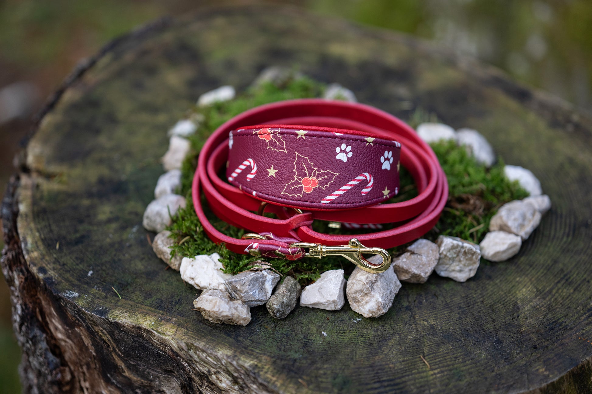 Weihnachtsedition Windhundhalsband 2025 in Weinrot, inklusive passender roter Lederleine