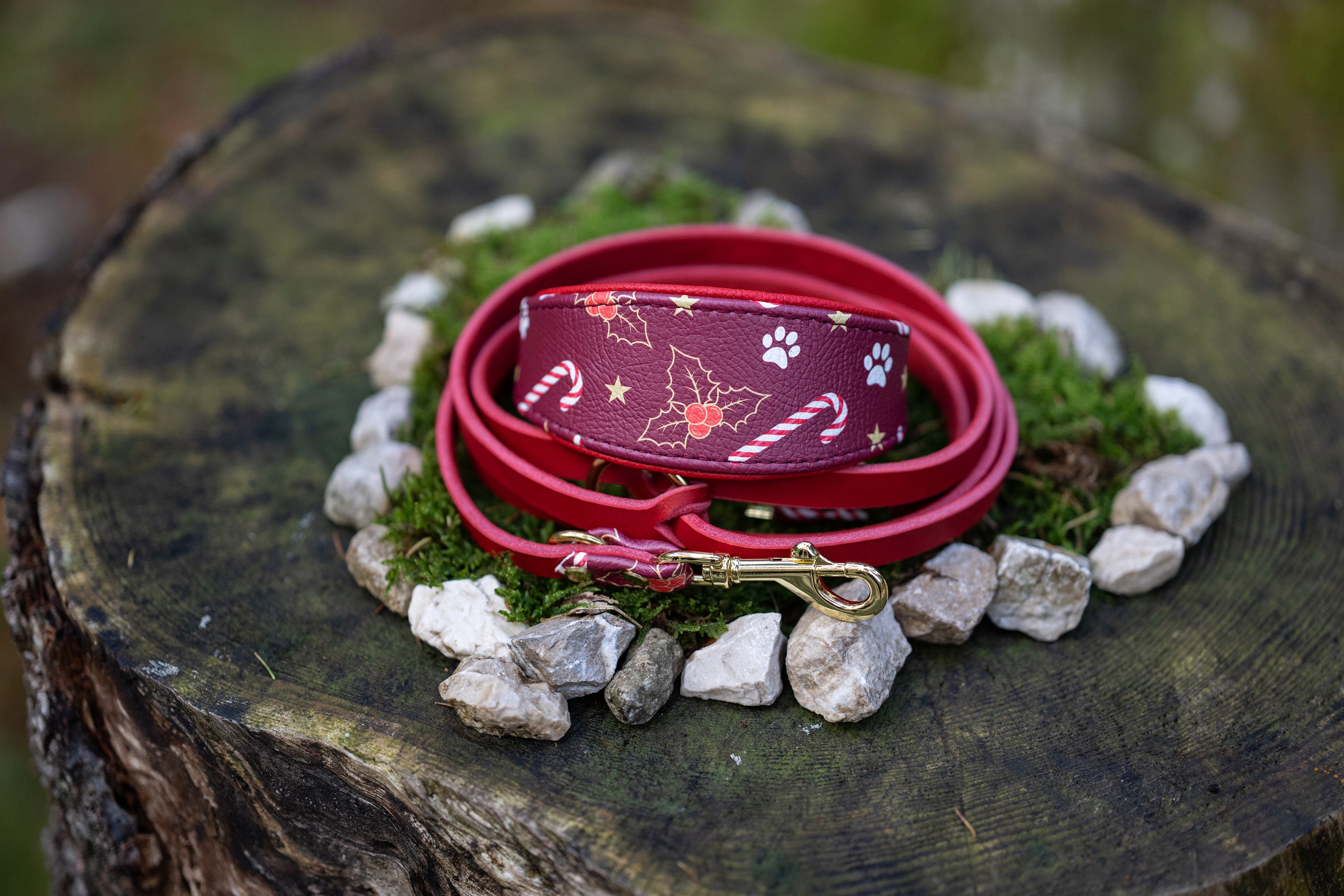 Weihnachtsedition Windhundhalsband 2025 in Weinrot, inklusive passender roter Lederleine