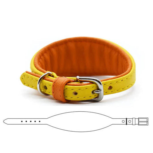 MINI BASIC Windhundhalsband Kleinhunde 𝗸𝗼𝗻𝗳𝗶𝗴𝘂𝗿𝗶𝗲𝗿𝗯𝗮𝗿・Italienisches Windspiel