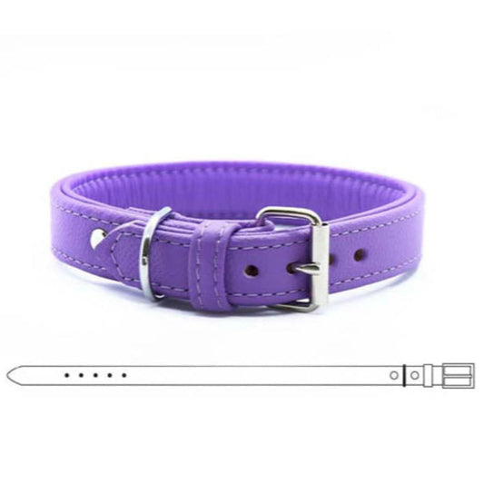 BASIC Hundehalsband 𝗸𝗼𝗻𝗳𝗶𝗴𝘂𝗿𝗶𝗲𝗿𝗯𝗮𝗿・Bio-Nappaleder