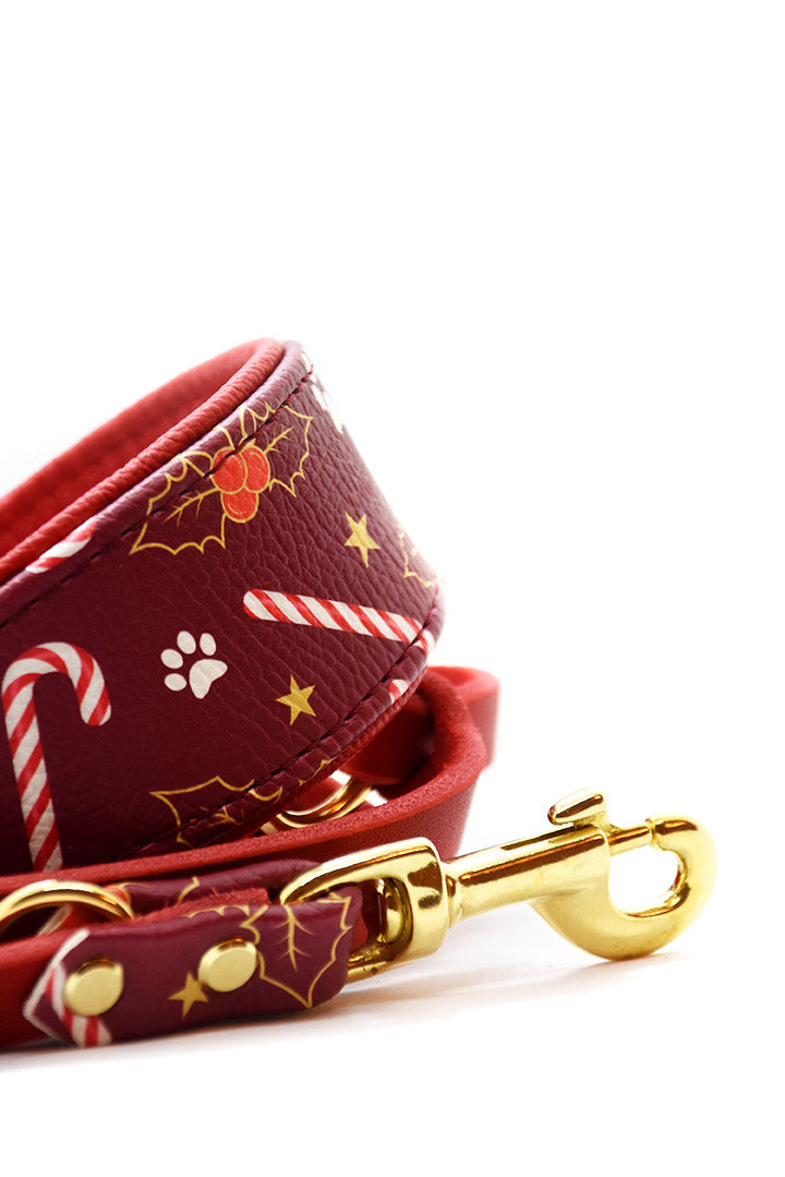 Weihnachts Windhundhalsband mit passender Leine aus rotem Leder
