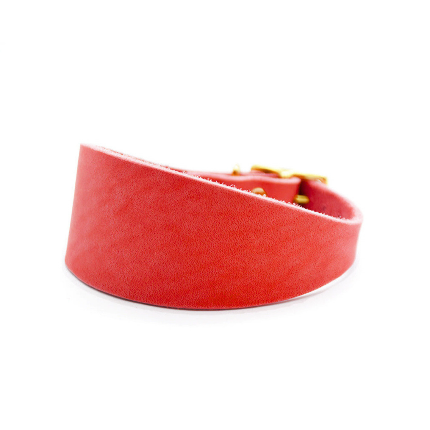 Fettlederhalsband für Windhunde in verschiedenen Farben