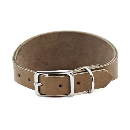 Individuelles Lederhalsband für Windhunde mit Gravur