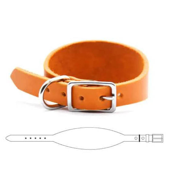 FETTLEDER Windhundhalsband 𝗸𝗼𝗻𝗳𝗶𝗴𝘂𝗿𝗶𝗲𝗿𝗯𝗮𝗿
