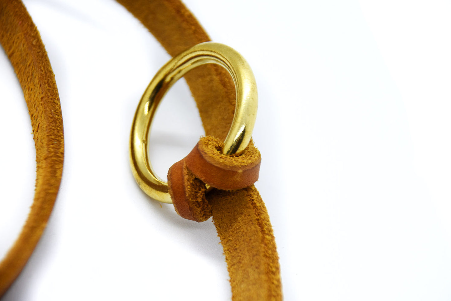 Detailaufnahme einer robusten Fettlederleine mit hochwertigem Messingkarabiner