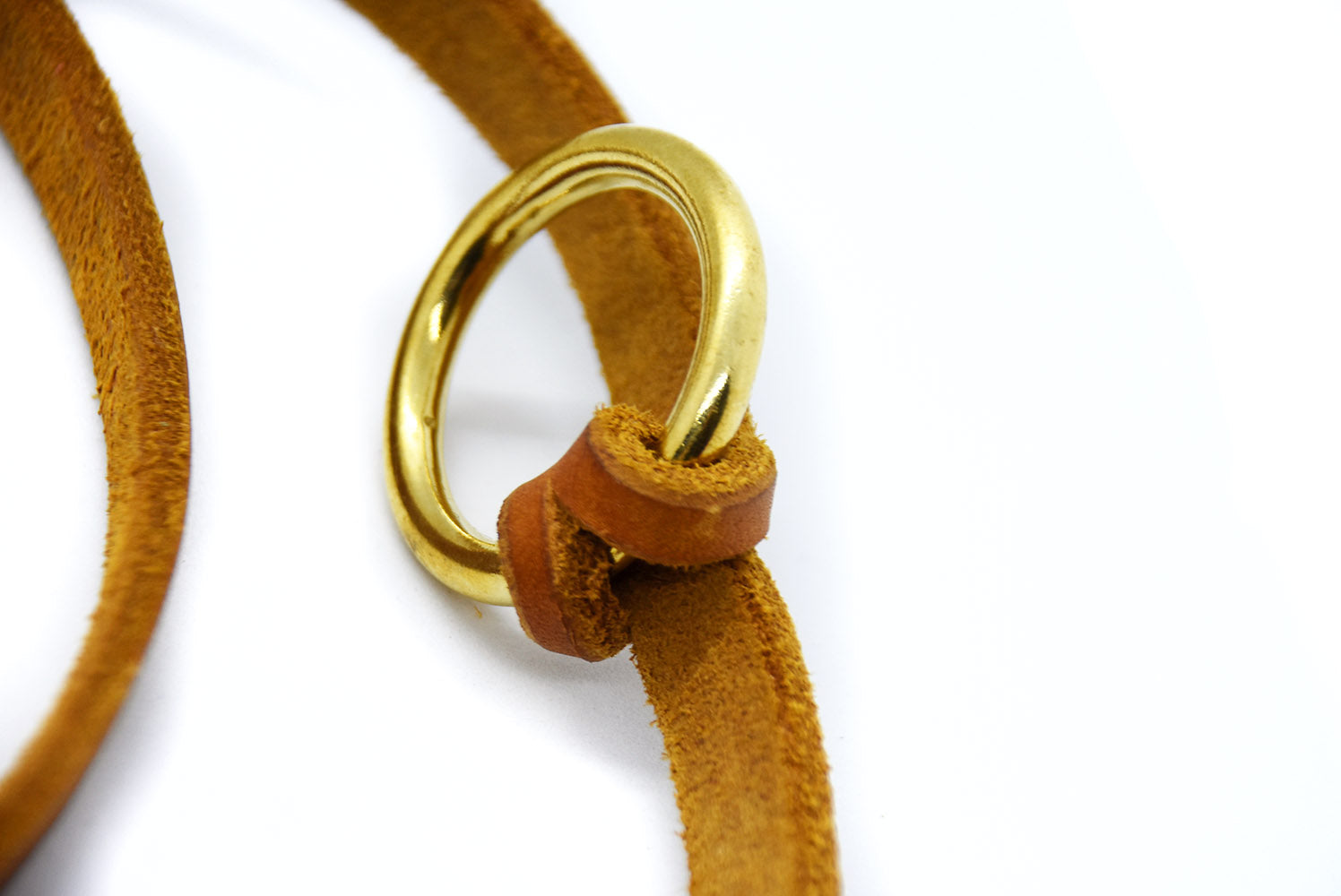 Detailaufnahme einer robusten Fettlederleine mit hochwertigem Messingkarabiner