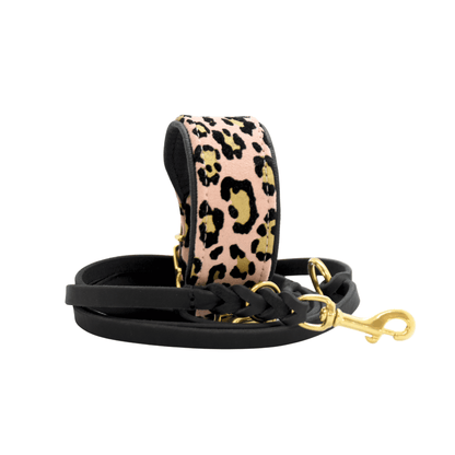 breites gepolstertes Halsband für Whippet und Greyhound