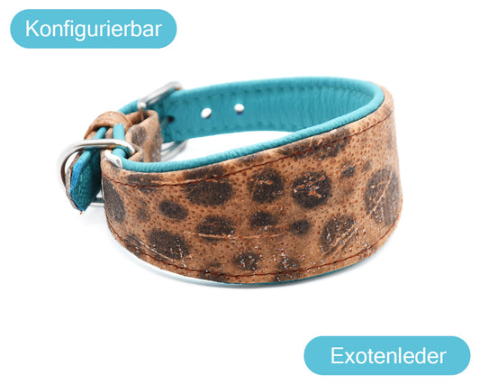 STEINBEIßER Halsband・exklusiv・Windhund