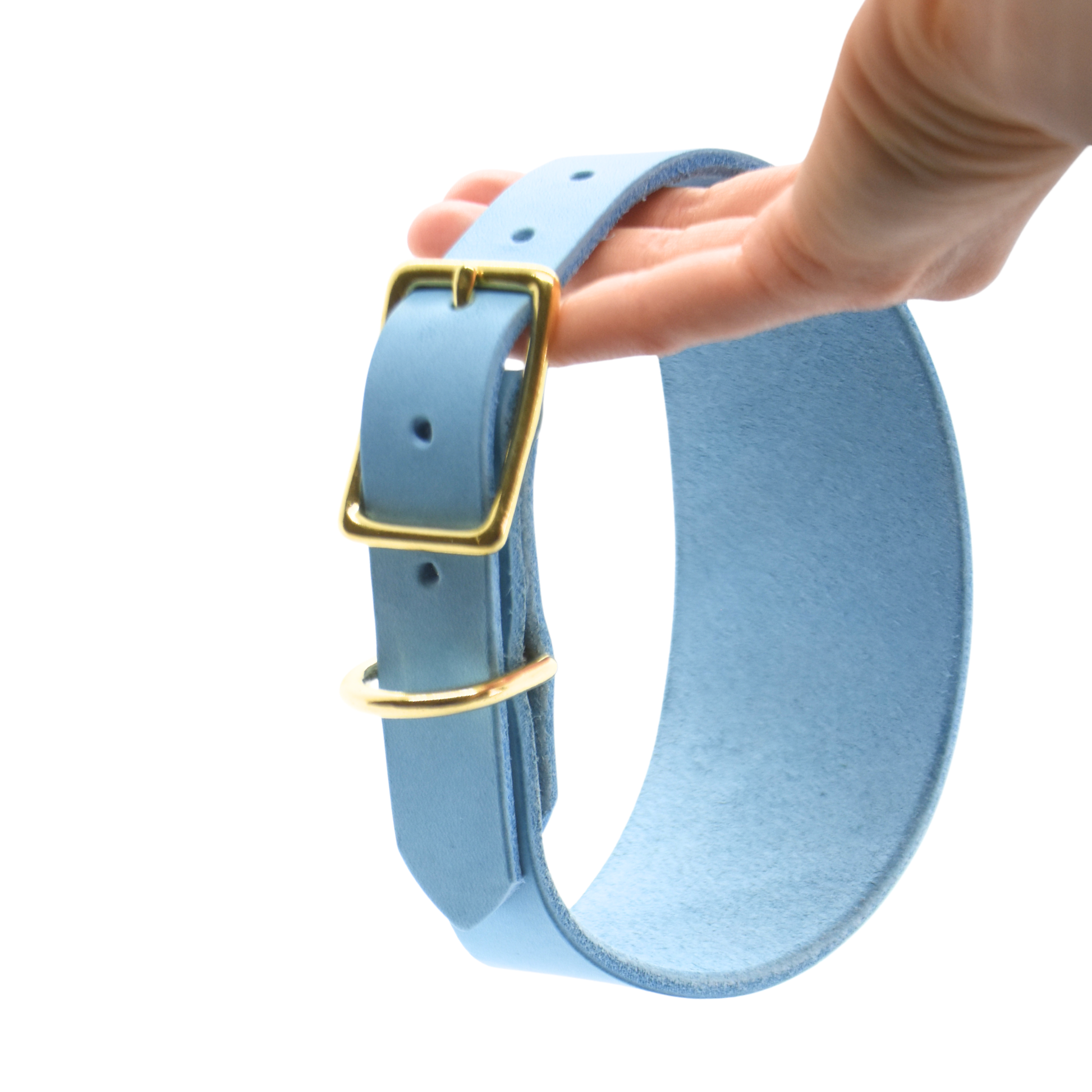 Geschmeidiges Lederhalsband für Windhunde in Himmelblau und Messing, weich und langlebig