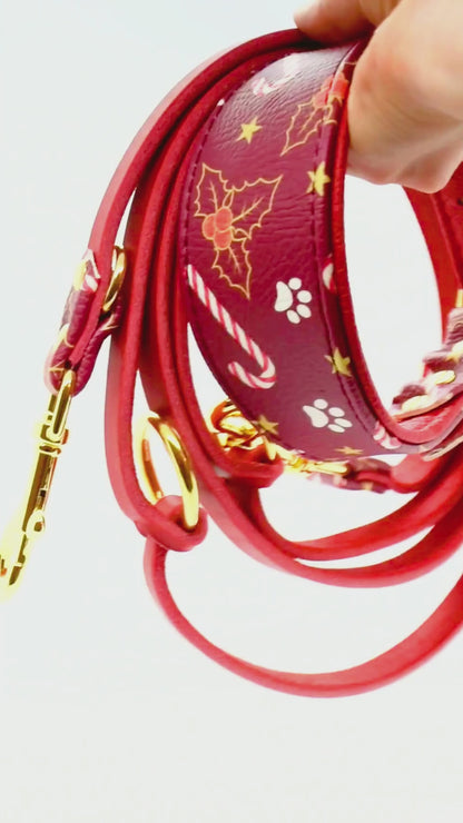 CHRISTMAS Edition 2025 – Set Halsband & Leine