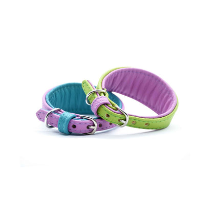 MINI Set 𝗸𝗼𝗻𝗳𝗶𝗴𝘂𝗿𝗶𝗲𝗿𝗯𝗮𝗿・Halsband und Leine