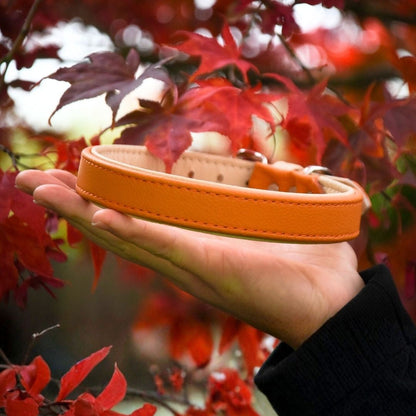 BASIC Hundehalsband schmal・Bio-Nappaleder・Maßgefertigtes Hundehalsband