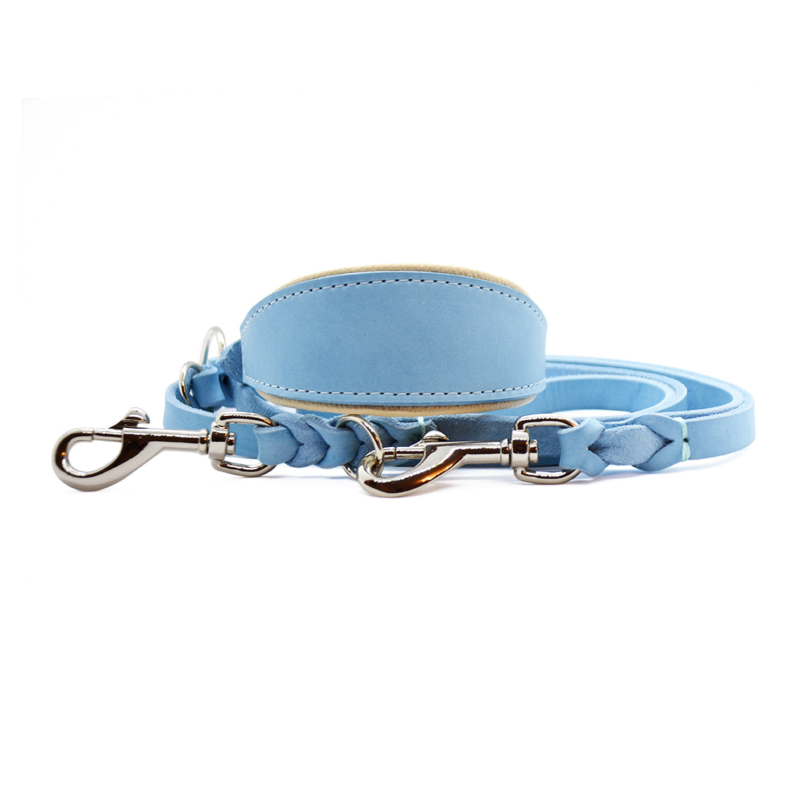 Windhund trägt gepolstertes Fettleder Halsband