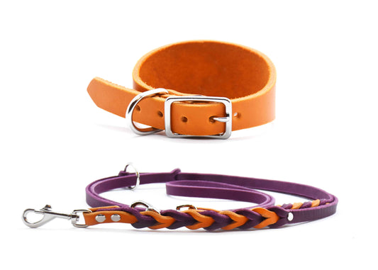 Set Fettleder 𝗸𝗼𝗻𝗳𝗶𝗴𝘂𝗿𝗶𝗲𝗿𝗯𝗮𝗿 • Windhund