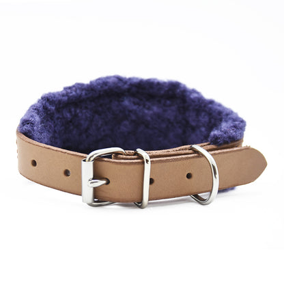 Geschirrleder Windhundhalsband mit weicher Teddyfleece-Unterfütterung