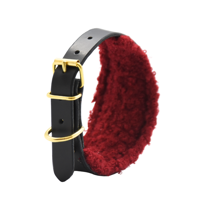 TEDDY Halsband für Windhunde