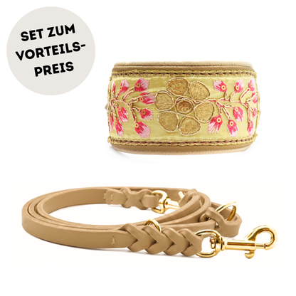 Edles Set für Windhunde aus Leine und indisch besticktes Hundehalsband